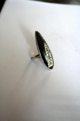 Killikus® Fotographie